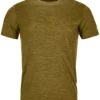 Ortovox 150 Cool Mountain Face Funktionsshirt