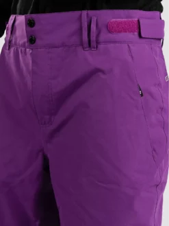 Planks Easy Rider Pants -Skibekleidungsgeschäft EasyRiderPants 5