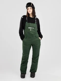 Coal North Twin Bib Pants