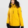 Roxy Presence Parka -Skibekleidungsgeschäft PresenceParka