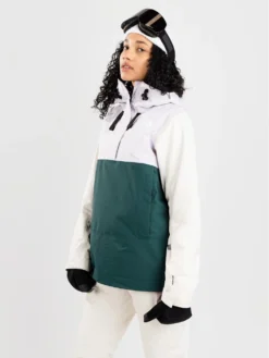 THE NORTH FACE Tanager Jacket -Skibekleidungsgeschäft TanagerJacket 5